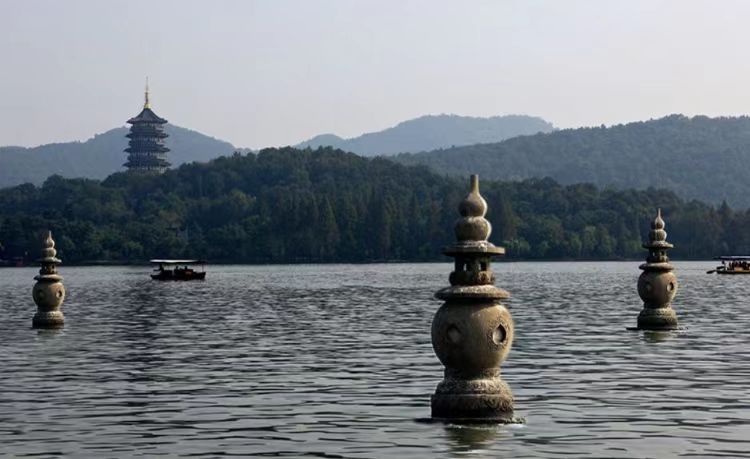 浙江组织