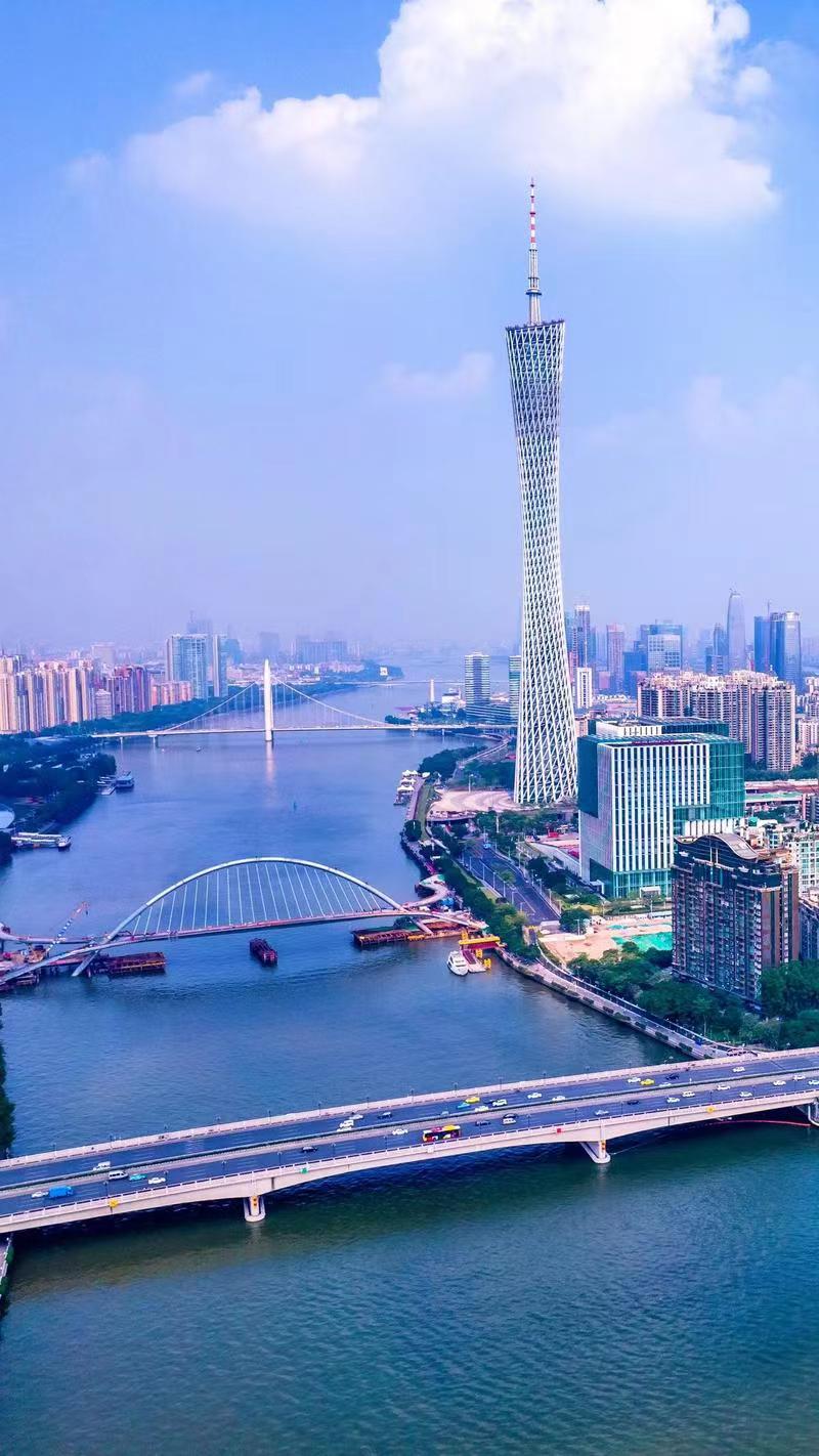 广东组织